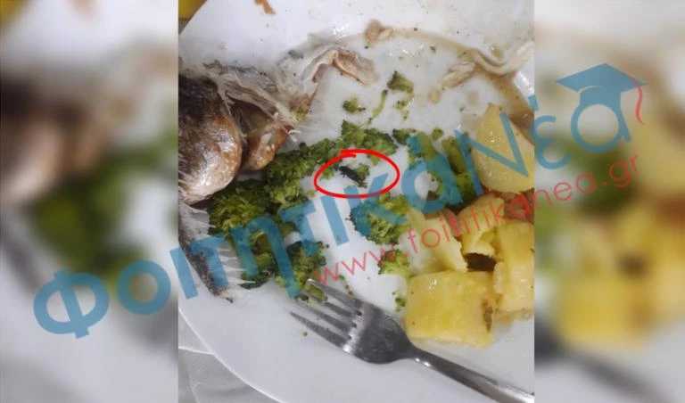 Αυτό βρήκε ένας φοιτητής μέσα στο φαγητό της λέσχης στο Πανεπιστήμιο Πατρών!